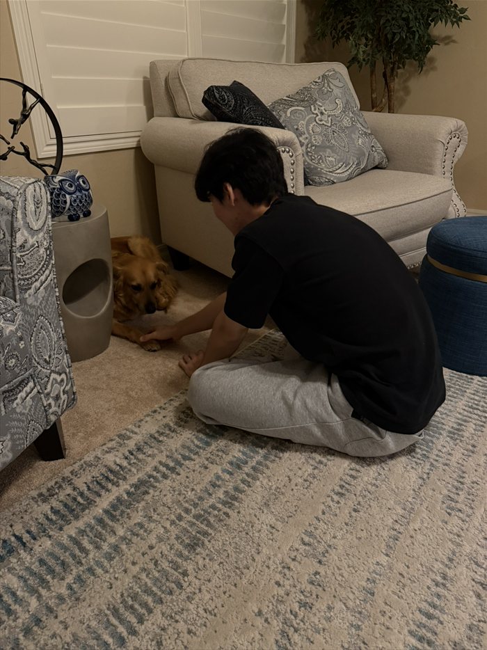 Brandon Lee holding paws with a dog in the living room